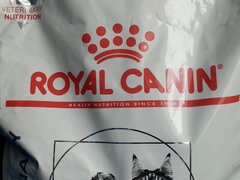 Hrana pentru pisici Royal Canin hepatic (gratuit)